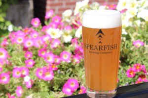 Pint of beer with pink flowers in the background.